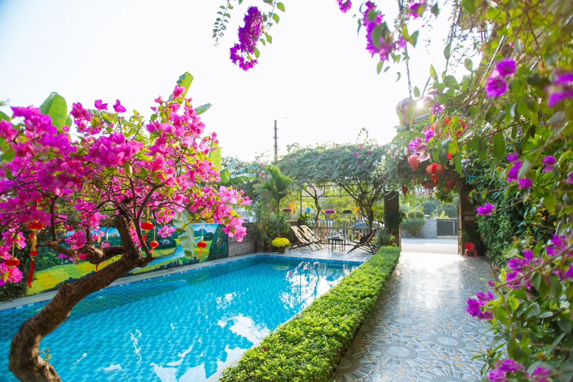 Tam Coc Viet Ha Homestay Ninh Binh Bagian luar foto