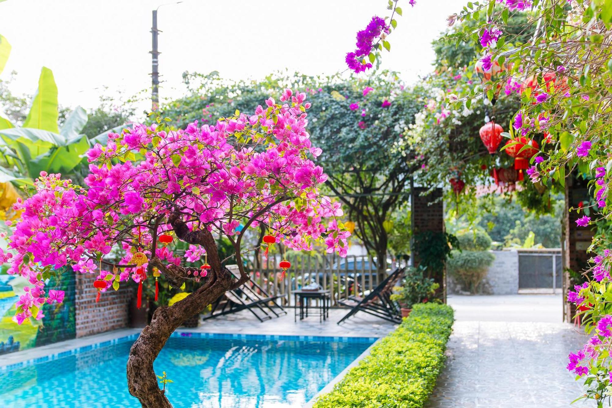 Tam Coc Viet Ha Homestay Ninh Binh Bagian luar foto